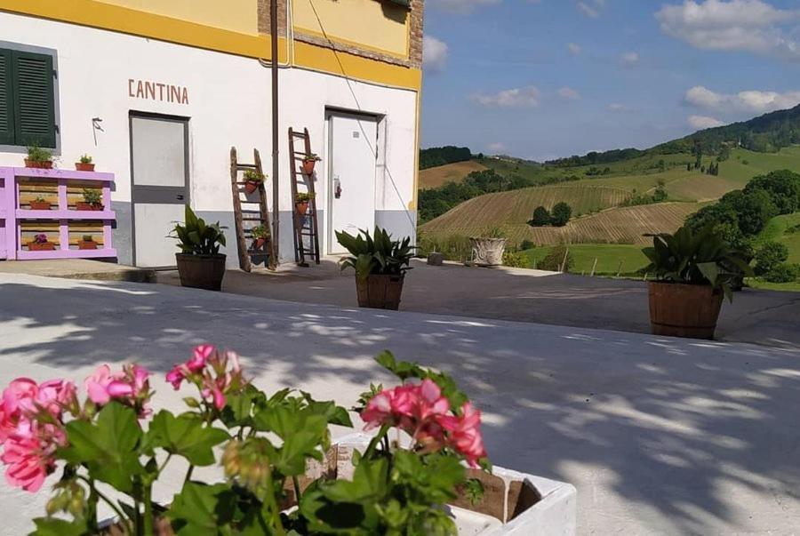 Villa Cascina Angelina Casteggio Exterior foto